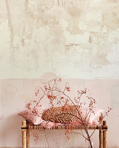 Pale Pink Weathered Wall Mural;
