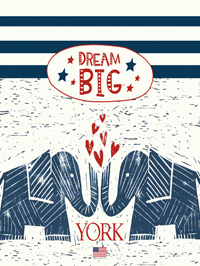 Dream Big Wallpaper Book by York