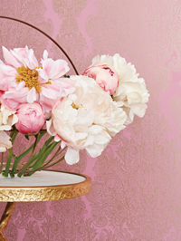 Serenede by Anna French