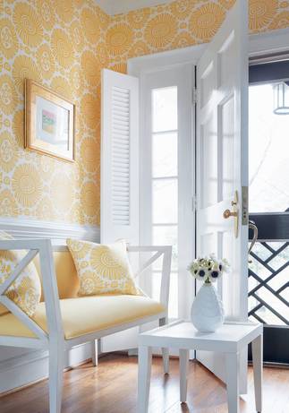 T10086, Tropics by Thibaut