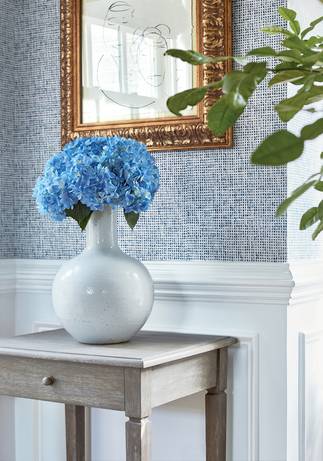 T10149, Tropics by Thibaut