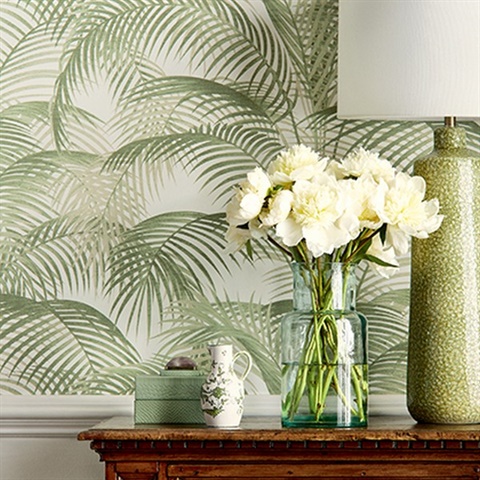 T13939, Palm Groove by Thibaut