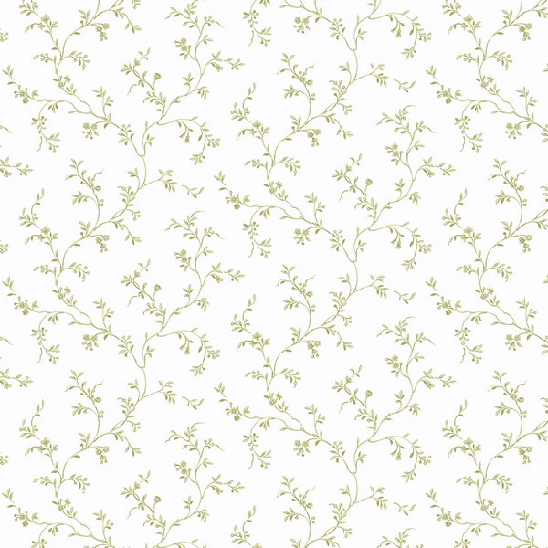 Allison's Trail Wallpaper