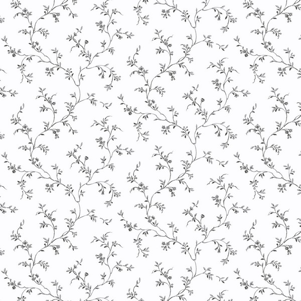 Allison's Trail Wallpaper