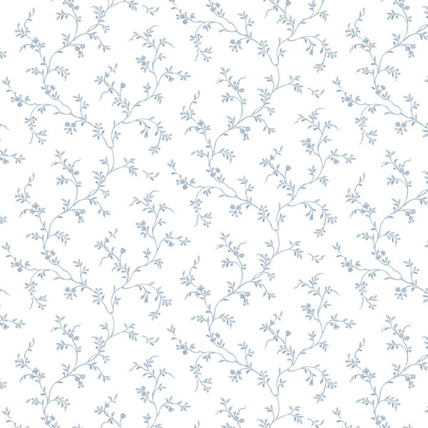 Allison's Trail Wallpaper