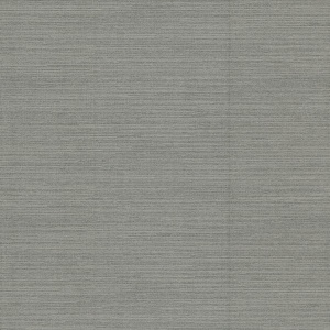 Amyra Silk Charcoal Wallpaper