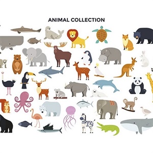 Animal Collection Wall Mural