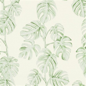 Ayutla Green Tropical Frond Wallpaper