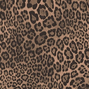 Balck and Brown Leopard Skin Wallpaper