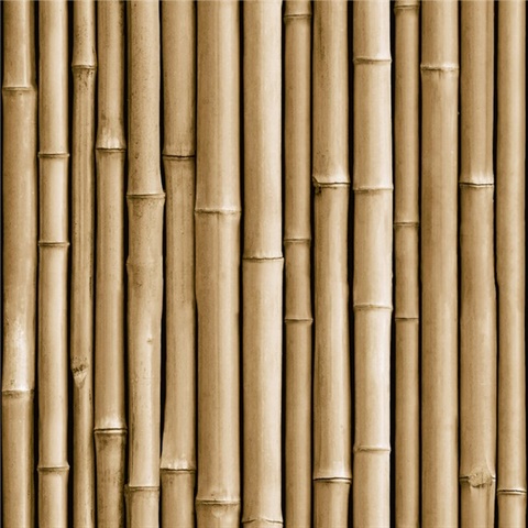 Bamboo P & S Wallpaper