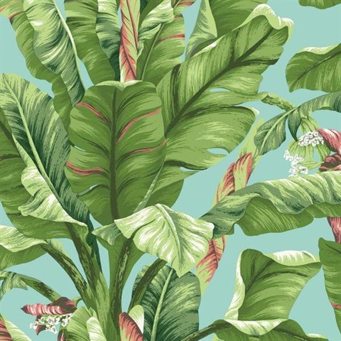 Tropics Banana Leaf Wallpaper