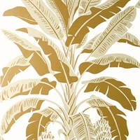 Banana Tree Wallpaper