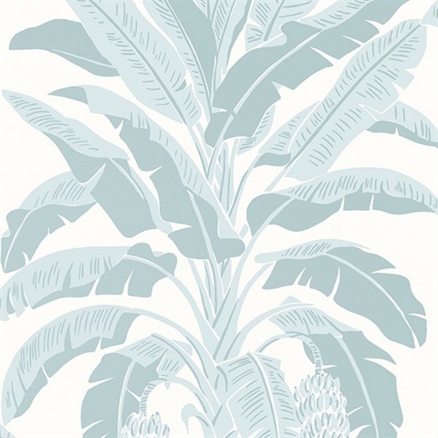 Banana Tree Wallpaper