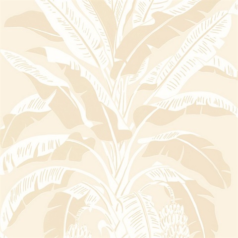 Banana Tree Wallpaper