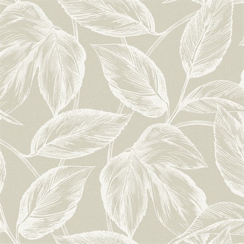 Beckett Sketched Leaves