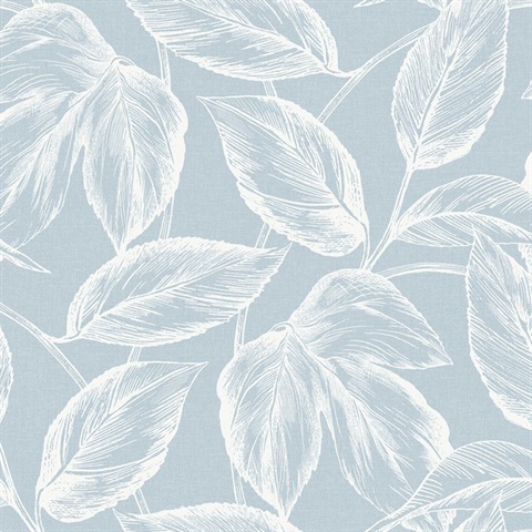 Beckett Sketched Leaves