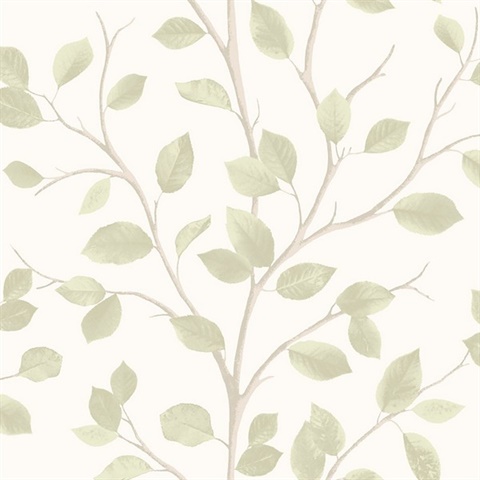 Beech Natural Leaf Wallpaper