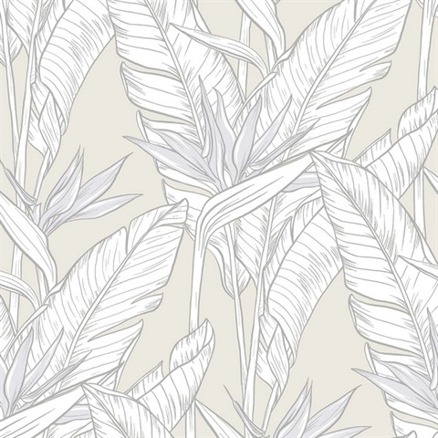 Birds of Paradise Peel & Stick Wallpaper