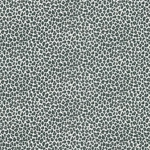 Black & White Cheetah Print
