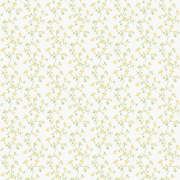 Blossom Branch Wallpaper