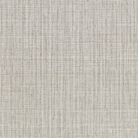 Blouza Grey Texture Wallpaper