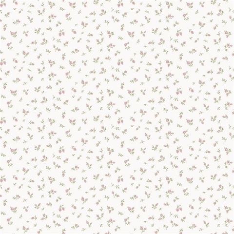Boccioli Shabby Wallpaper