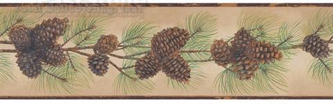 Pine Cone Branch