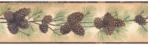 Pine Cone Branch