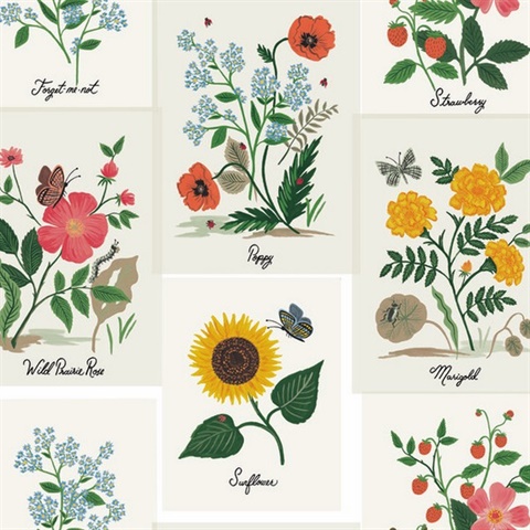 Botanical Prints Wallpaper