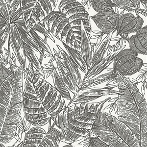 Brentwood Black Palm Leaves Wallpaper by Scott Living