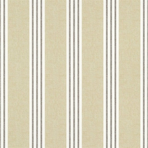 Canvas Stripe