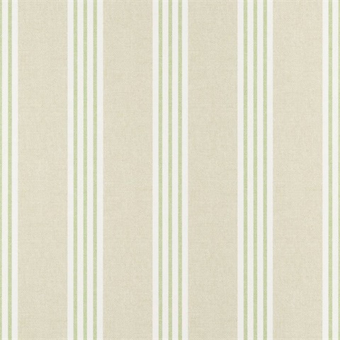 Canvas Stripe