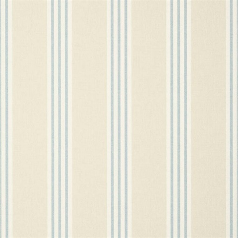 Canvas Stripe