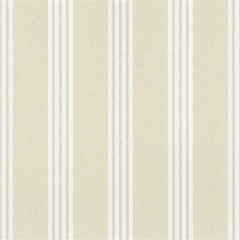 Canvas Stripe
