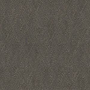 Challenger Shadow Wallpaper