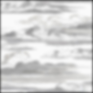 Cielo Black and White Wallpaper
