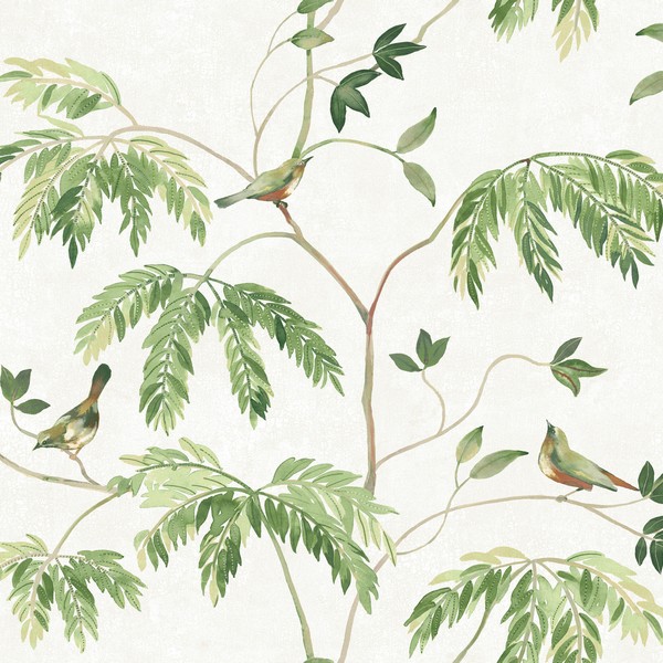 Cillian Green Wallpaper