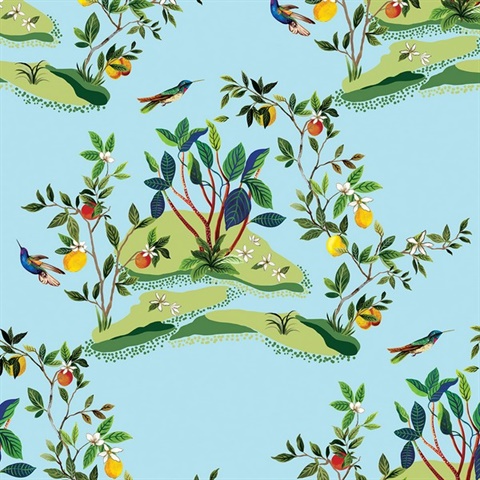 Citrus Hummingbird