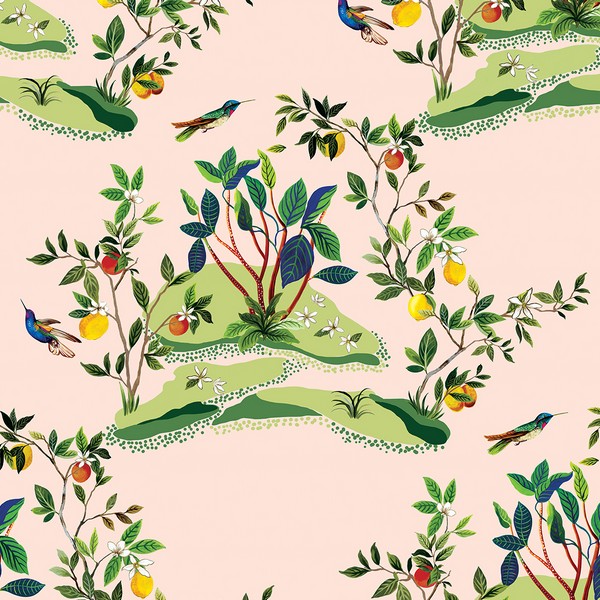 Citrus Hummingbird