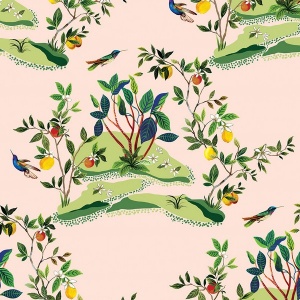 Citrus Hummingbird
