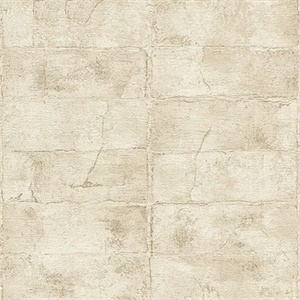 Clay Bone Stone Wallpaper