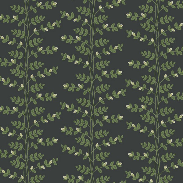Climbing Vine Black Wallpaper