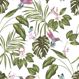 Clivia White Hummingbird Wallpaper