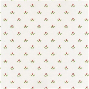 Mini Tulip Wallpaper