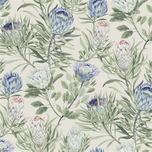 Cream & Blue Protea Wallpaper
