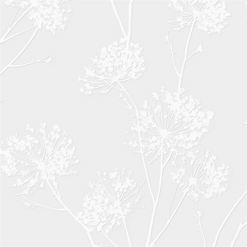 Dandelion Fields