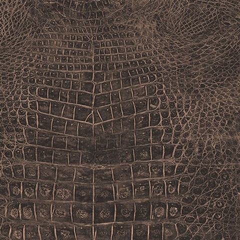 Dark Brown Crocodile Skin Wallpaper