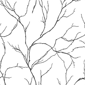 Delicate Branches