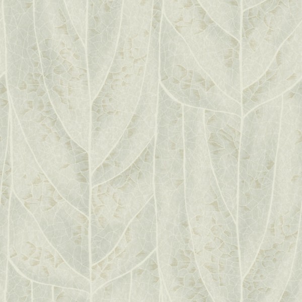 Dicot Light Green Leaf Wallpaper