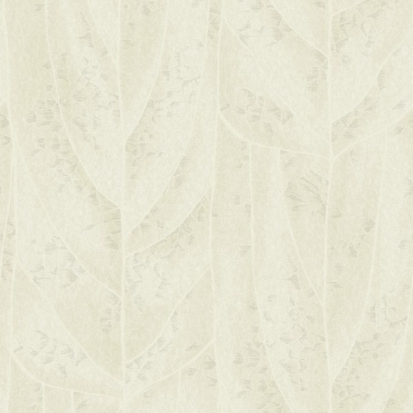 Dicot Pearl Leaf Wallpaper